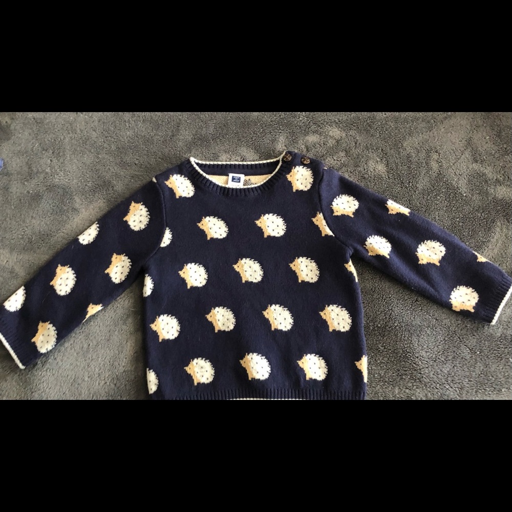 Janine and Jack hedgehog sweater